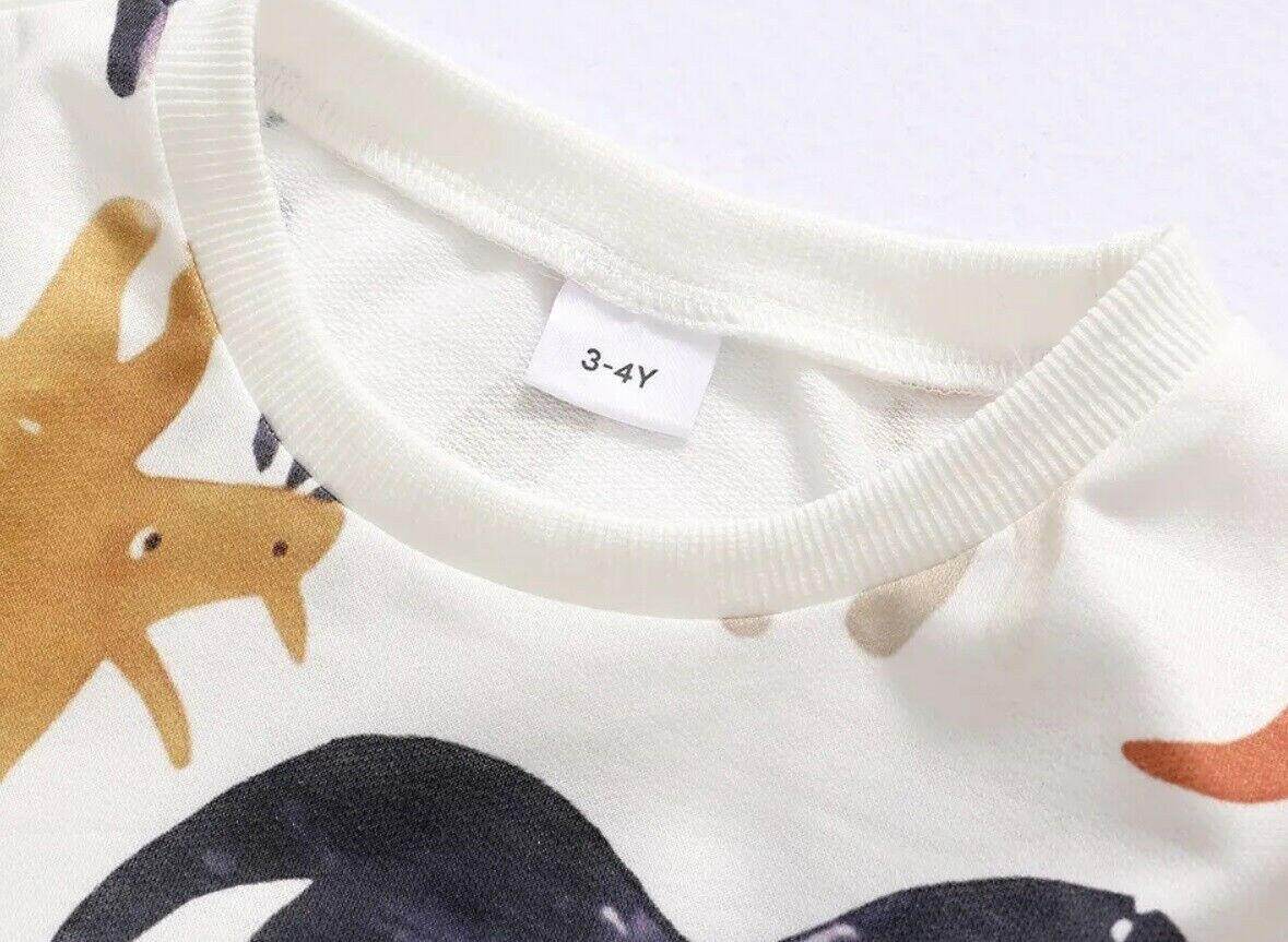 Baby Boys Dinosaur Print Long Sleeve Top - MARIGOLD