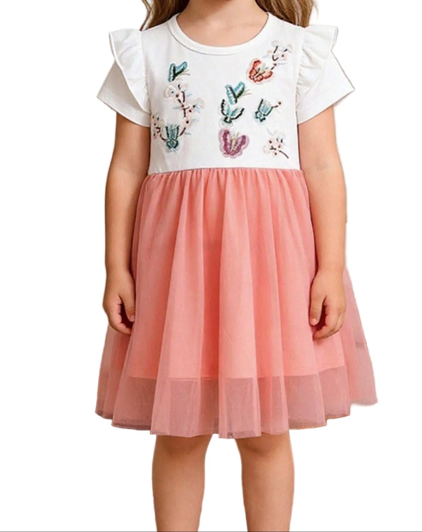 Butterfly Embroidered Tulle Dress
