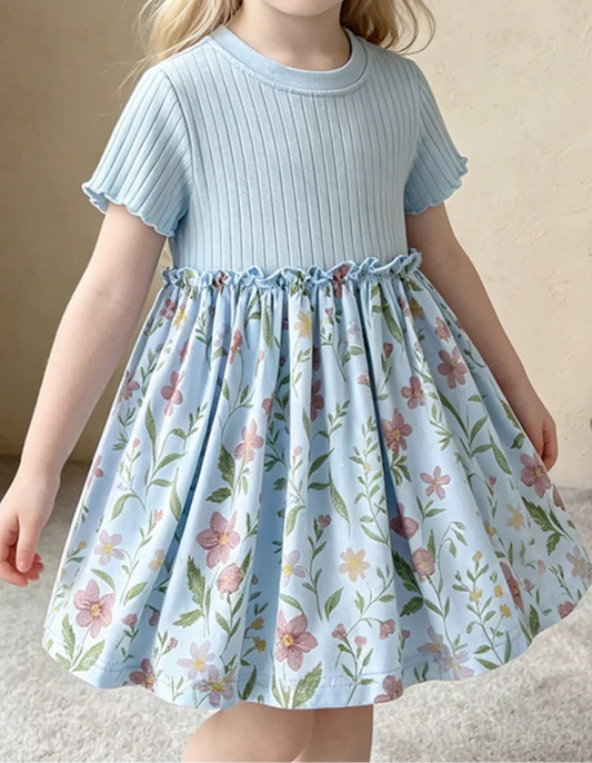 Light Blue Floral Print Short Sleeve Dress