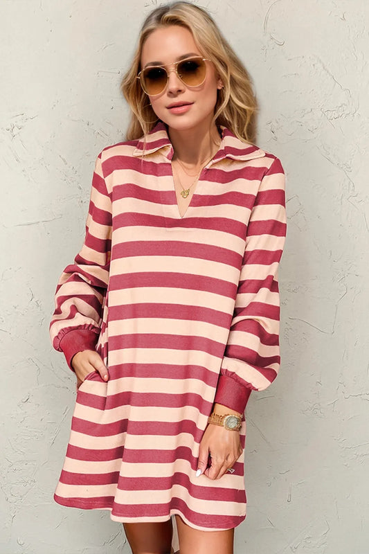 Striped Collared Long Sleeve Mini Dress with Pockets