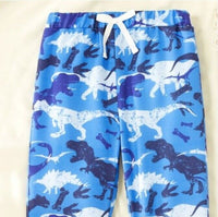 size 3-4y to 5-6 years new boys pants blue dinosaur print boys pants joggers