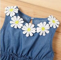 size 3-6 to 18-24 months baby dress chambray daisy applique dress - Select Size